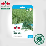 3000Biji Benih Daun Dill Udon Wangi /Daun Dill Wangi /Daun Adas Sowa /East West Seed /Cap Panah Mera