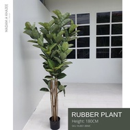 Artificial Rubber Tree - ต้นยางเสมือนจริง สูง180 CM ต้นไม้ประดิษฐ์เกรดพรีเมี่ยม ต้นไม้ปลอมใหญ่ Premi