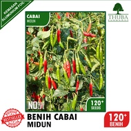 120 Biji - Benih Cabai Rawit Midun - Cabe Rawit Hijau Merunduk