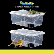 Transparent Amphibian Insect Reptile Plastic Breeding Box Transport Feeding Case w/ Breathing Holes