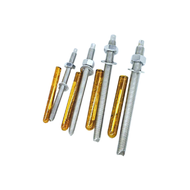 พุกเคมี แบบปั่น M12 พร้อม สตัด 160มม. (แพ็ค 10 ชุด)