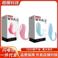 Look Directly Place Order Fashion Accessories Home Accessories/4.8E