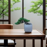 【專人雕塑典雅盆景】真柏小品 桌上植栽 開幕新居喬遷升官送禮