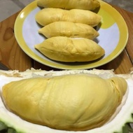 Ready Gan Durian Montong Palu Bulat Utuh Fresh 3Kg Ready Gan