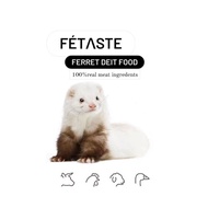 【REAL MEAT】 🇺🇸Super premium ferret diet food repack 500g