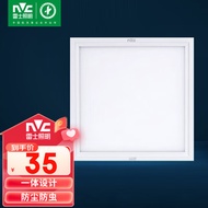 雷士照明 300*300mm集成吊顶灯平板灯面板 厨卫灯led厨房卫生间珍珠白16w