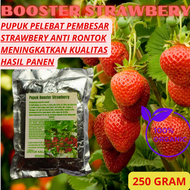 Pupuk Strawberry Cepat Berbuah / Pupuk Pelebat Buah Strawberry / Pupuk Booster Strawberry