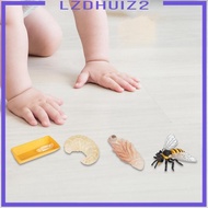 [Lzdhuiz2] Life Cycle of Bee Toys, Animal Growth Cycle Set, Montessori Toys, Farm Animals, Figures for The