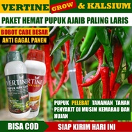Paket 1 Botol VERTINE GROW & 1 Botol VERTINE CALS Pupuk Pelebat Buah Cabe Tanpa Hama dan Penyakit di