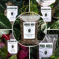 Soil Mix Signature by NADI POKOKS [ Aroid Mix , Alocasia Mix , Caladium Mix , Colocasia Mix ,PRO-MED