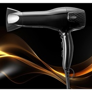 Homeplanet RCY-119 Professional Hair Dryer, 2200W