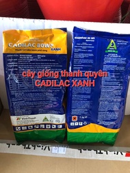 Trừ nấm Bệnh CADILAC 80WP 1kg Xanh Ấn Độ gốc MANCOZEB