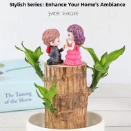 Indoor Water Cultivation Lucky Wood Plant Grue Small Tree with Bud Easy to Maintain Green Plant Braz