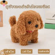 Electronic Toy Dog, Stuffed Dog, Can Walk, Can Bark, Can Wag Its Tail (Ready to Ship, Shipped from T