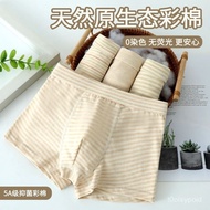 Box Boxer Natural Store Manager Small Cotton Bacteria Shorts] a Class Color Seamless Underwear Boys 