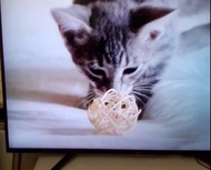SMART TV  49吋4K智能電視