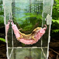 Jumping Spider Breeding Box Landscaping Jumping Spider Hiding Tree Vine Suspension Bridge Cli