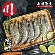 【小川漁屋】活凍南美白蝦4盒（500g+-10%/盒/25~30尾）