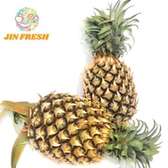 Josephine Pineapple 水晶黄梨