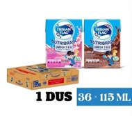 Frisian Flag Nutribrain Milky Susu 115ml 1 Dus Isi 36 Kotak Cokelat Strawberry All Variant