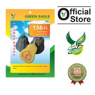 GE 156 F1 Hybrid Pumpkin Bottle seeds