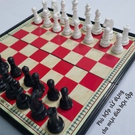 Magnetic chess set