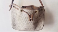 Dior Monogram 水桶袋 $700 包順豐