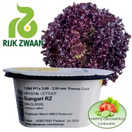 SUNGARI RZ Red Crystal Lettuce by RIJK ZWAAN ((50, 100 & 200 pelleted seeds /REPACKED))