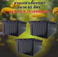 อ่างเลี้ยงปลา 65 ลิตร ระบบoverflow ขนาด 64x44x31ซ. กะบะเลี้ยงปลา อ่างเลี้ยงปลา อ่างเลี้ยงปลาเมกาดะ อ