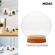 [ with Base Valentine's Day Decoration Glass Cloche Ball Jar Dome