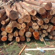 Unik kayu 8x12 balok kayu meranti campur po tanggerang Murah