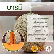 เมล็ดเมล่อนพันธุ์บารมี 100 เมล็ด ตราพยัคฆ์ติดปีก เมล็ดพันธุ์ เนื้อส้ม