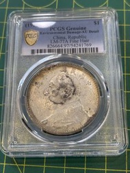 C73袁大頭9年精髮淡彩-AU