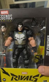 Marvel Legends  the Punisher 人偶
