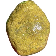 Taiwan Taitung Success Sea Wash Seaweed Jade