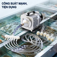 OXY Hailea ACO 208/318/328 High Capacity Oxygen Generator for Fish Tanks, Seafood, Shrimp Farming