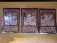 遊戲王 灰流 異畫 銀碎