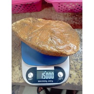 fossil nibong @ woodstone . kayu jadi batu