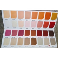 RAIN OR SHINE ELASTOMERIC WATERPROOFING PAINT LITER  (PART B)