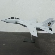 Model kit miniature fighter plane F-14 Tomcat scale 1:72