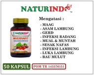 Mucosafit - Obat Herbal Lambung - Naturindo Mucosafit 50 Kapsul