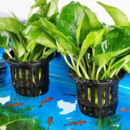 2025 New Upgraded Large Aquarium Plant Holder with 1.57-inch Extension Hooks and Suction Cups for Fi