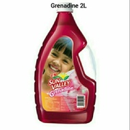 2L F&N SUN VALLEY Grenadine