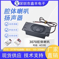 Cavity Speaker 3070 Cavity 4 Euro 3W 8 Euro 2W Advertising Machine Intelligent Voice Broadcast Range