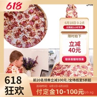 Cross-Border Burrito Blanket Digital Printed Pizza Blanket Flannel Nap Blanket Tortilla Reversible B