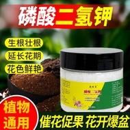 【熱賣】磷酸二氫鉀 農用級磷鉀肥 葉面肥水溶肥 蔬菜花卉肥料農用復合肥
