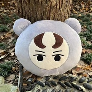 30cm Kpop Plush Kpop Idol JEONGHAN WONWOO Miniteen Plushies Face Cushion Soft Stuffed Animal Pillow 