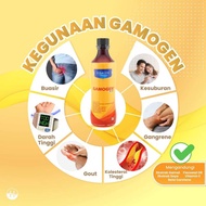 HEALIN Gamogen 500ML