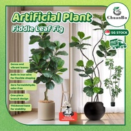 SG STOCK Fast Delivery /Fiddle Leaf Fig/ Artificial Plant/ Realistic Fake Indoor outdoorPlant