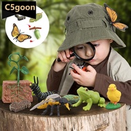 C5GOON Educational Life Cycle Toys Realistic Animal Models Collection Insect Frog Spider Ducks Geese